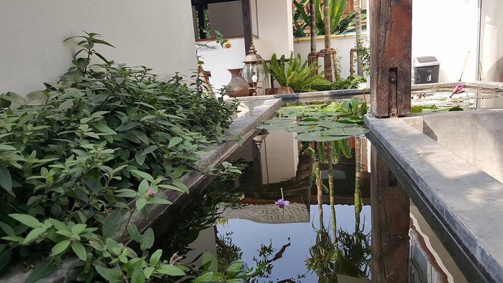 The Home Chiangmai Luxury Guesthouse Чиангмай Екстериор снимка