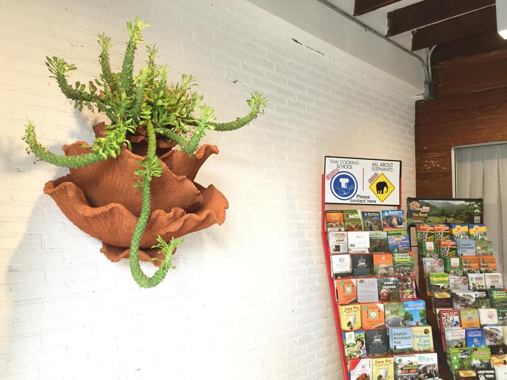 The Home Chiangmai Luxury Guesthouse Чиангмай Екстериор снимка