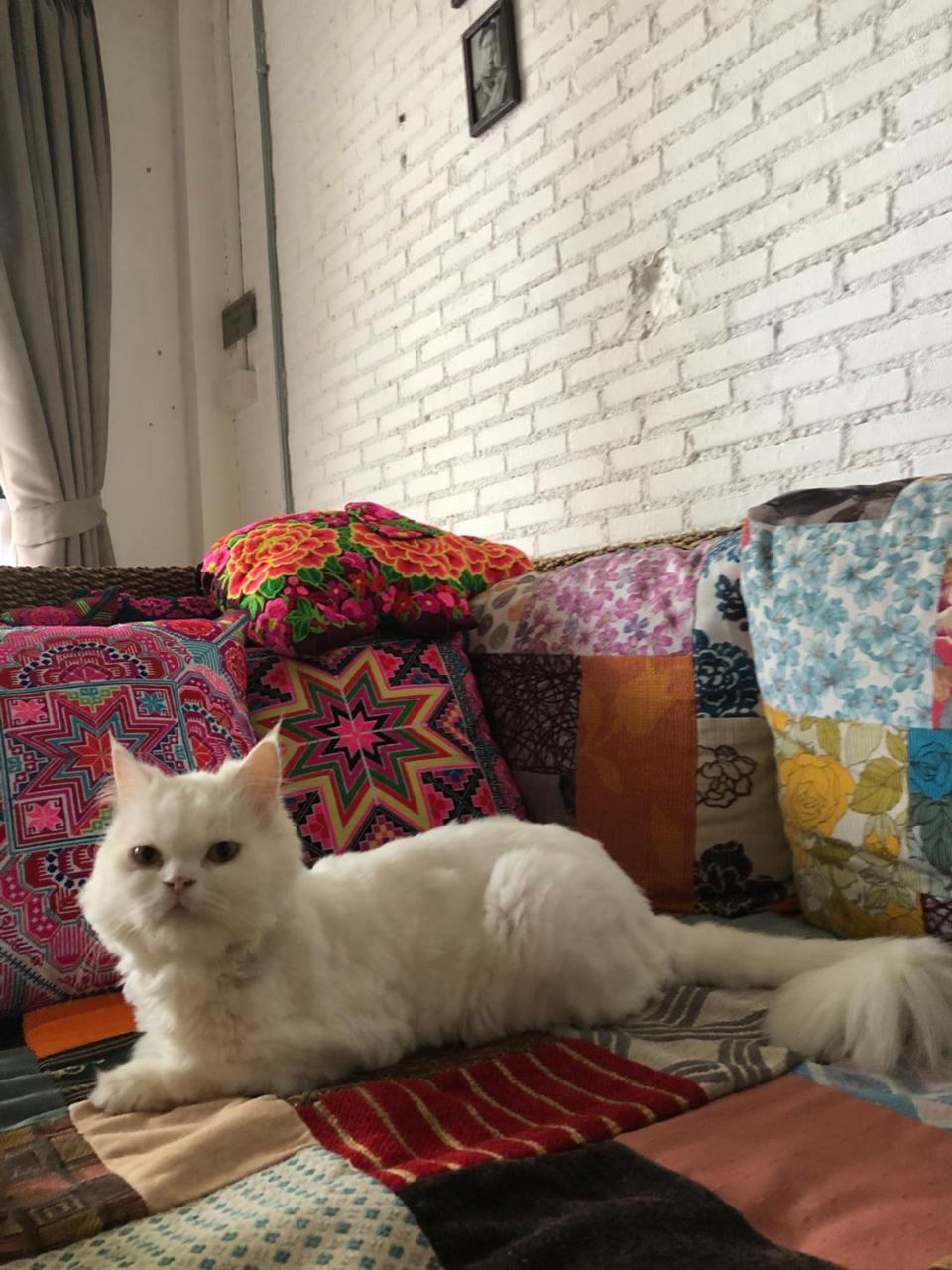 The Home Chiangmai Luxury Guesthouse Чиангмай Екстериор снимка